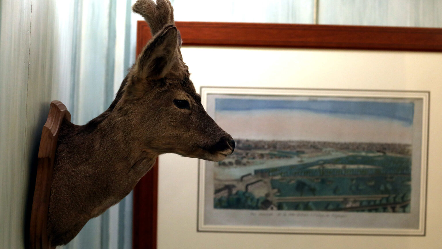 Au Jeu de Paume, Galerie d'art et boutique d'antiquités à Épernay