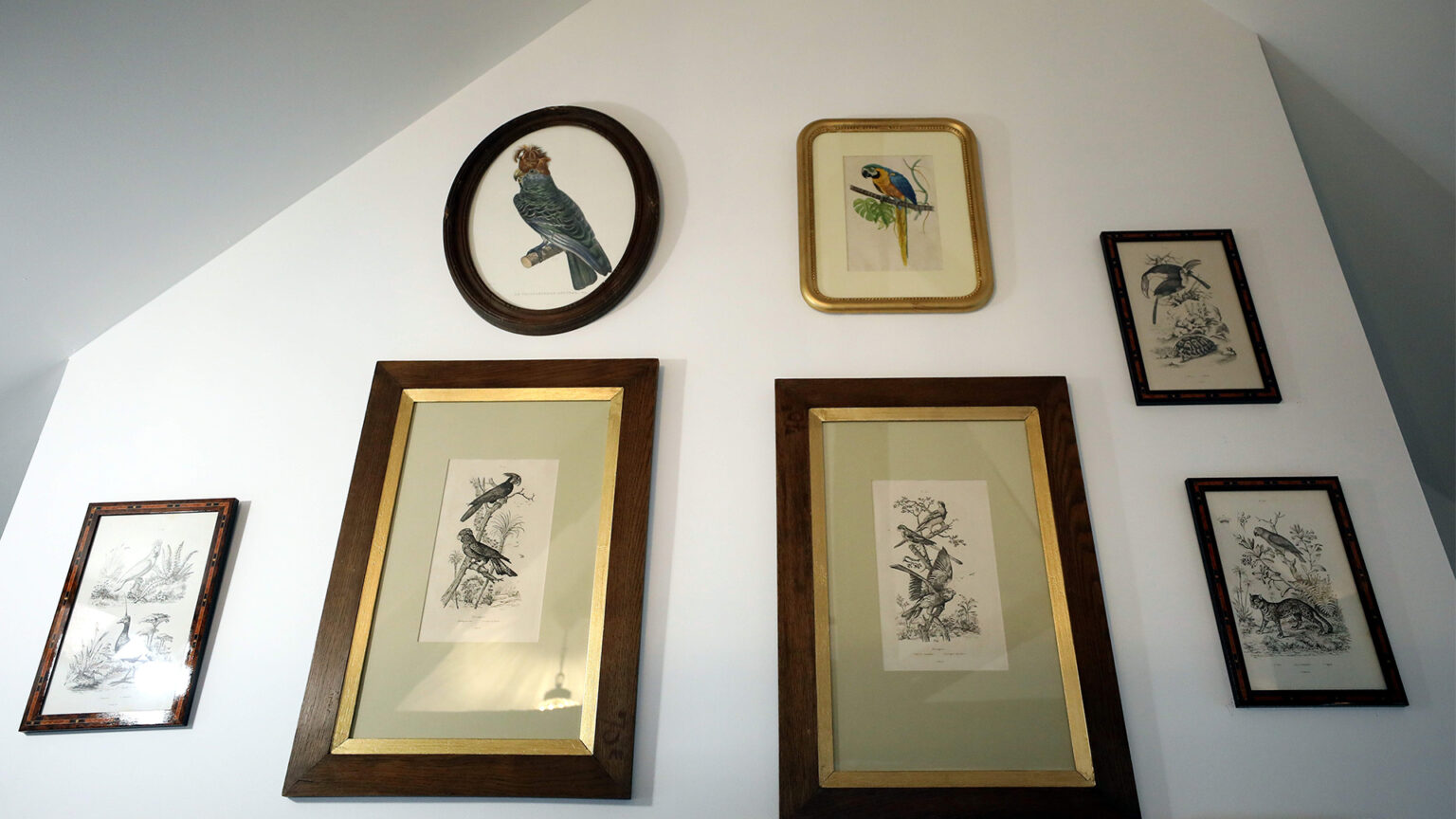 Chambres d'hôtes Au Jeu de Paume, Chambre aux oiseaux